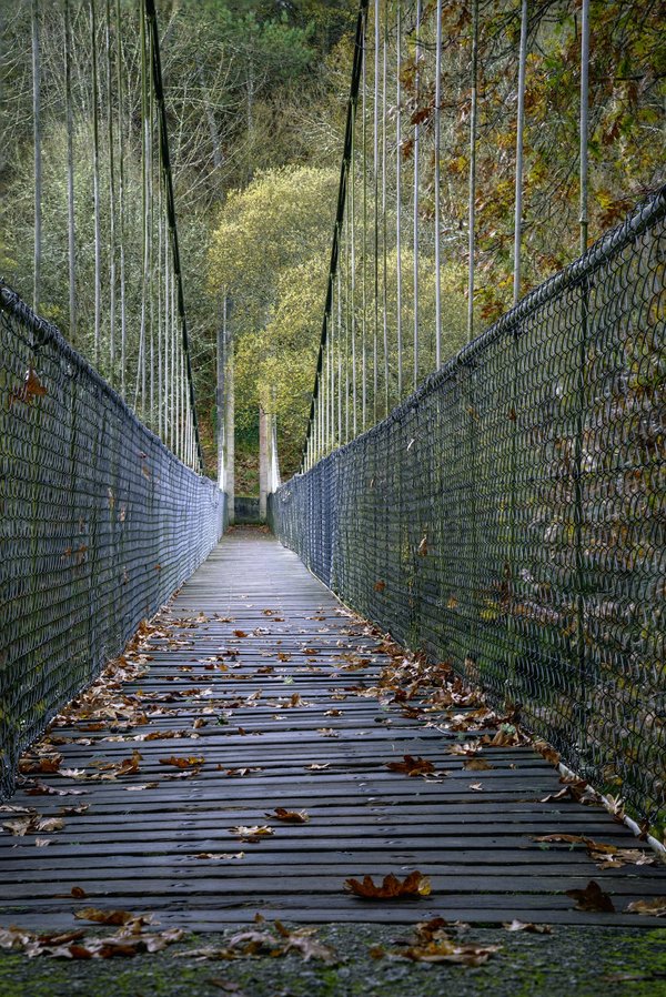 In che modo l'installazione di un sistema di sospensioni attive può migliorare la performance in pista di un'auto sportiva?
